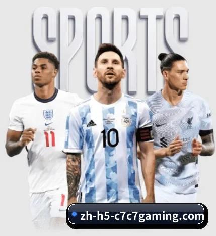 五大服务分区,信息按项目分类